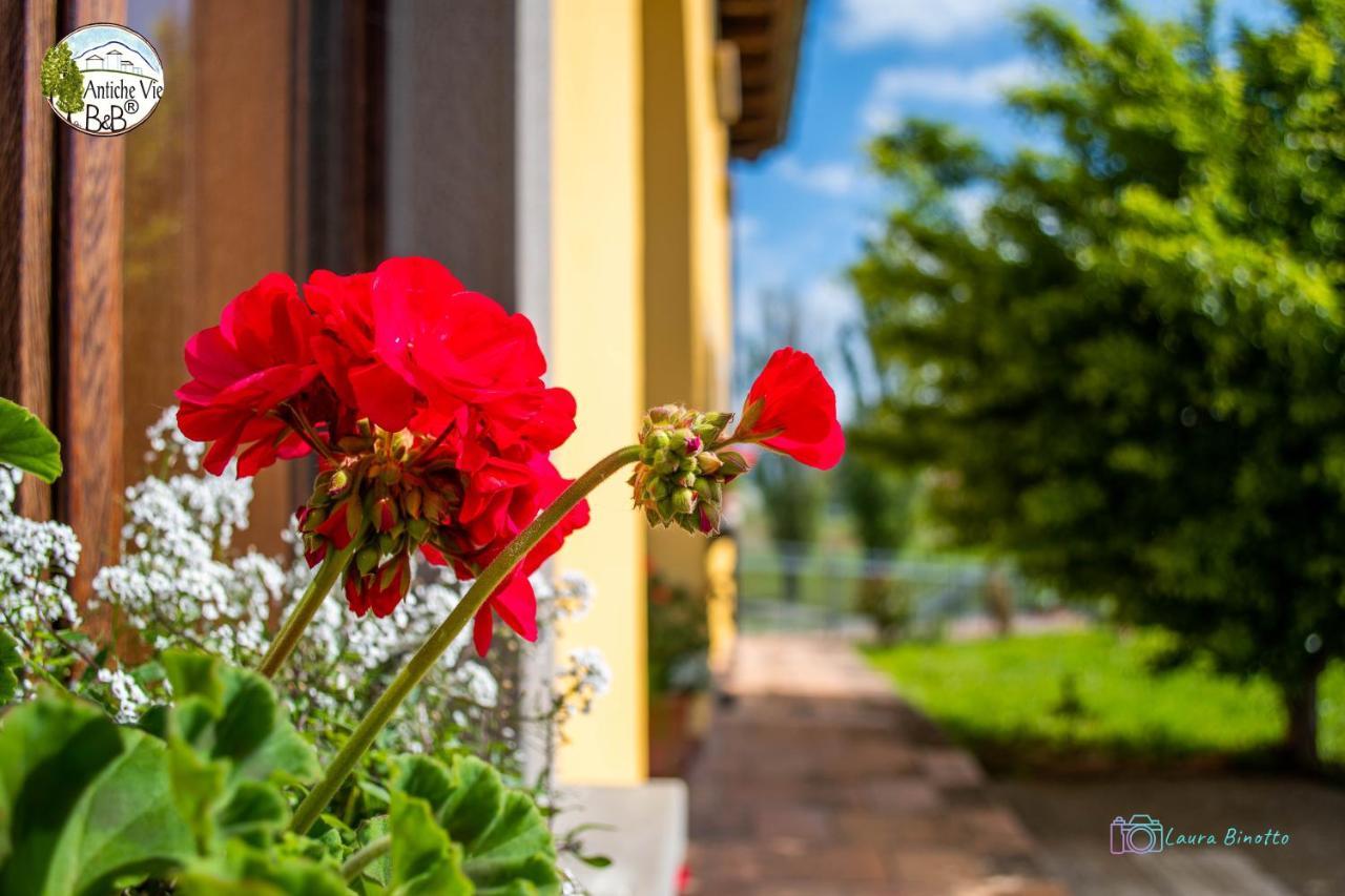 Antiche Vie B&B Serramazzoni Extérieur photo